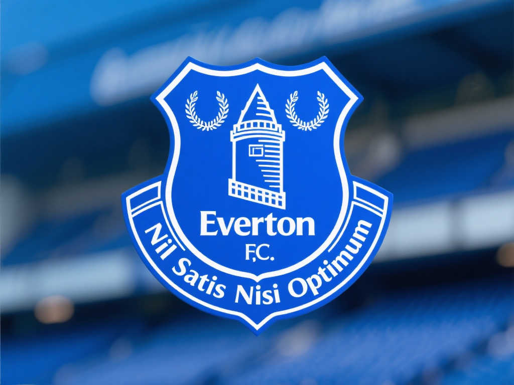 历史与现状 历史与现状