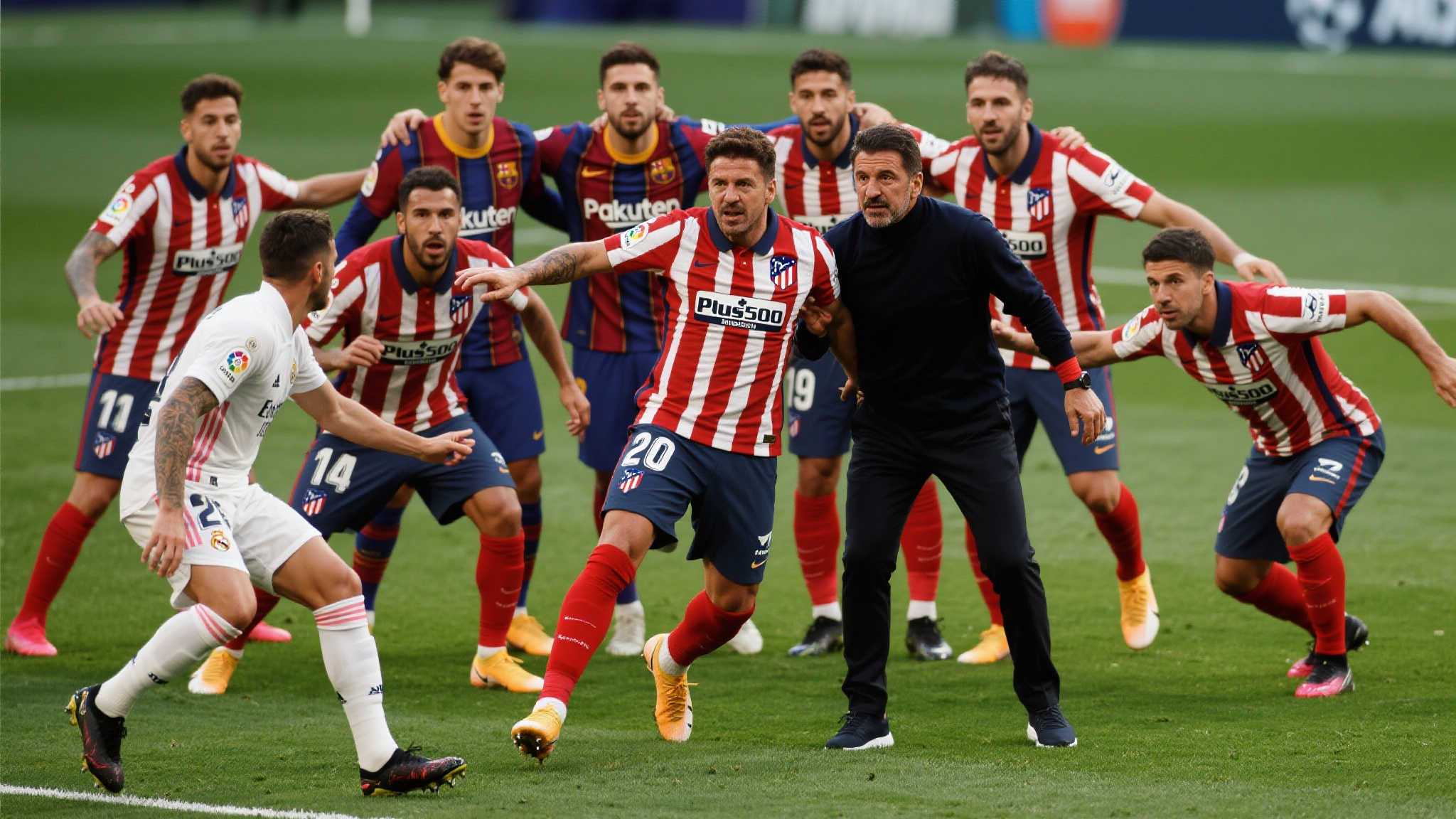 中國隊將迎 中國隊將迎