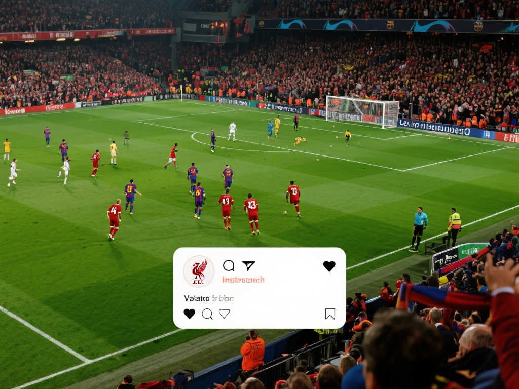 这样的成功 这样的成功